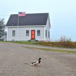 Maine traffic jam